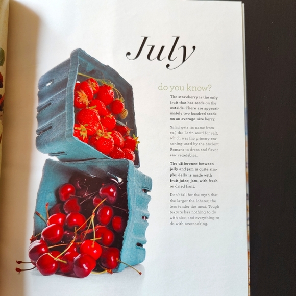 Martha Stewart Living magazine - July 2004 - Picture 6 of 7